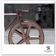 2012 Peugeot Cycles 